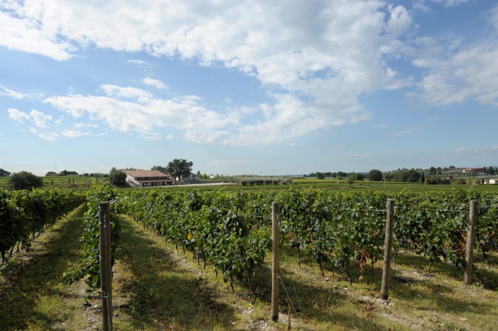 Apartment Tenuta La Ca