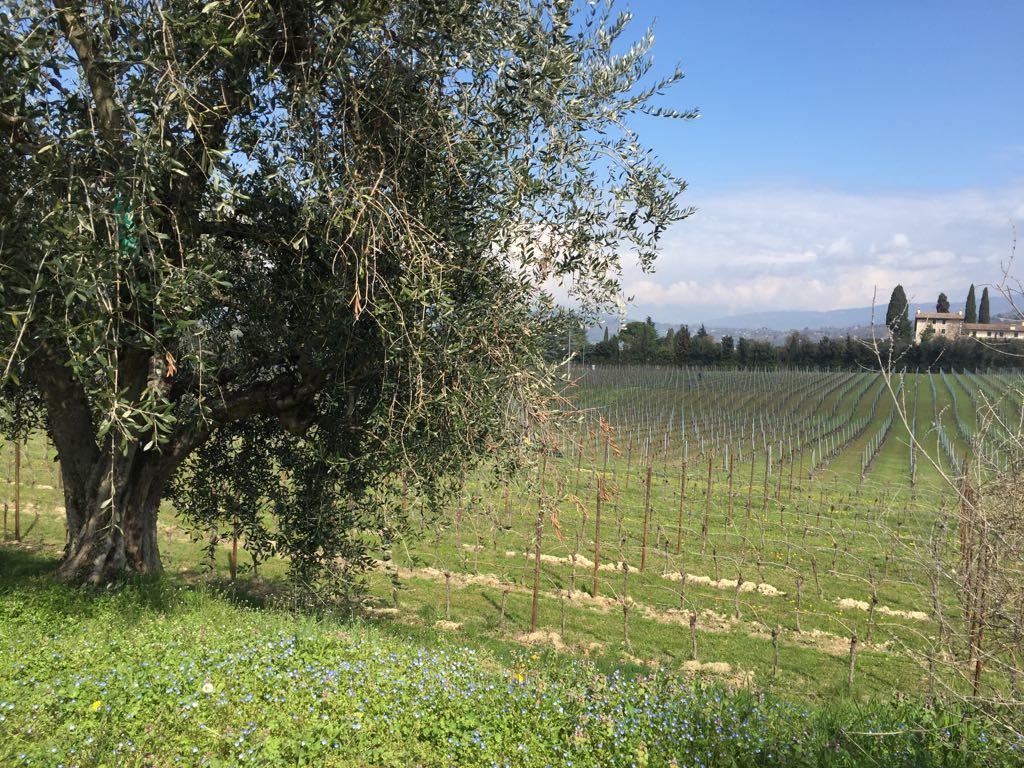 Tenuta La Ca